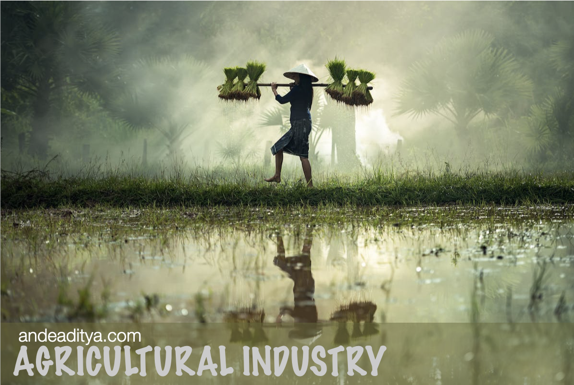 Agricultural Facts and Statistics in Thailand