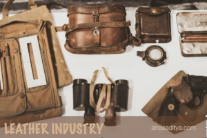Leather Industry of Thailand – A Sustainable Growth Sector in the country