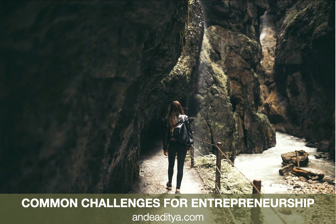 Challenges Entrepreneurs Face and How to Overcome Them